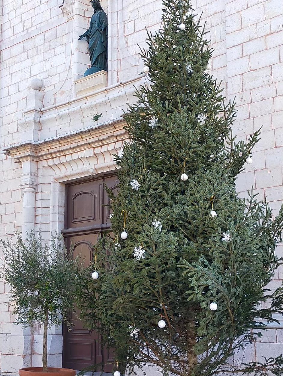 Sapin installé le 2 décembre par la municipalité, devant la collégiale sapin